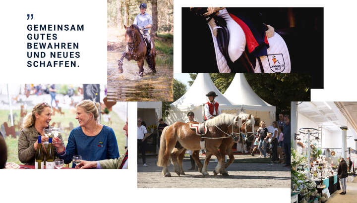 landgestuet celle derby community collage mit zitat landgestuet celle derby community collage mit zitat